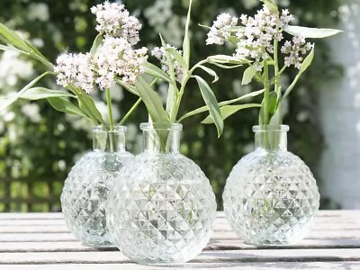 Buy Bud Botanical Vase Glass Vintage Antique Vintage Party Wedding Flower Summer • 2.95£