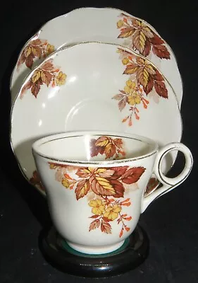 Buy Grindley Cream Petal Trio - Cup Saucer & Plate. C.1936 - 54  Autumnal Colours  • 20.46£