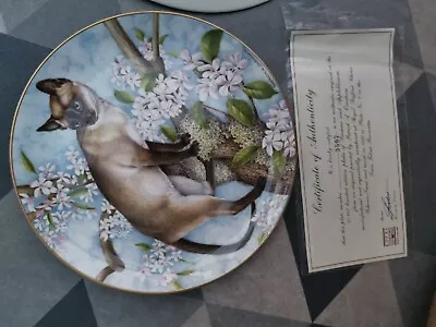 Buy Siamese & Apple Blossom  ROYAL STAFFORD Feline Favourites Collector Plate No. 2 • 8£