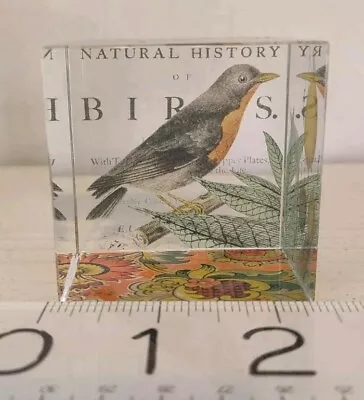 Buy Fringe Studio Robin Natural History Of Bird Design Glass Cube Paperweight Orange • 9.32£