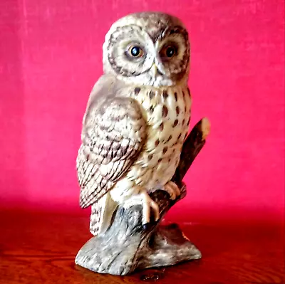 Buy Vintage Tawney Owl Figurine Matt Porcelain • 8.99£