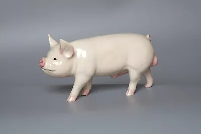 Buy Beswick From *rare Breed Series* Middlewhite Boar Issued 2000/2001 One Owner • 35£