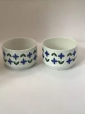 Buy 2 Midwinter Roselle Small Bowls. More Roselle Listed • 7.50£