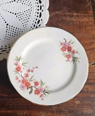 Buy 6x Queen Anne Bone China Tea / Side Plates  Roses  Set Of 4 Small Plates • 25£