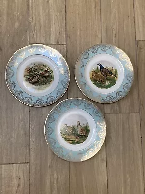 Buy 3 X W H Grindley (Staffordshire) Game Birds Dinner Plates • 18£