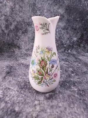 Buy Vintage Bone China Aynsley Wild Tudor Vase White 15  Cm Tall • 3.99£