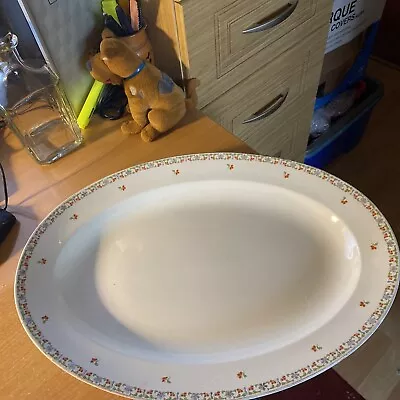 Buy Wh Grindley Co England - Oval Plate - Serving Plate - Meat Platter  15.5 Inches  • 13£