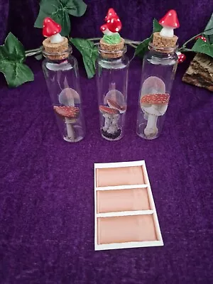 Buy 3x Glass Mushroom Herb/ Salt/ Blessed Water Storage Bottles, Spells, Wicca Pagan • 12.95£