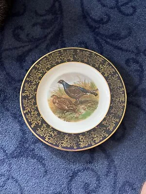 Buy Weatherby Hanley England Royal Falcon Ware 10 Inch Decorate Plate, Birds 4-74 • 25£