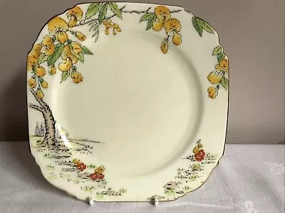 Buy Vintage Paragon Spring Blossoms Square Pattern Tea Plate 17cm • 9.99£