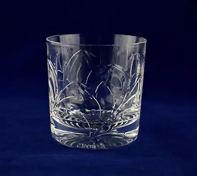 Buy Stuart Crystal  CONCERTO  Whiskey Glass / Tumbler - 8.2cms (3-1/4 ) Tall - 1st • 24.50£