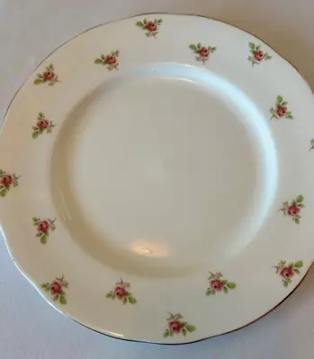 Buy Argyle Duchess Pink Rose Bone China Dinner Plate - 24cm Diameter (10 Available) • 8£