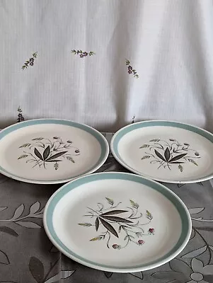 Buy J & G Meakin Pottery Hedgerow Small Dinner Plates X 3 • 1.50£