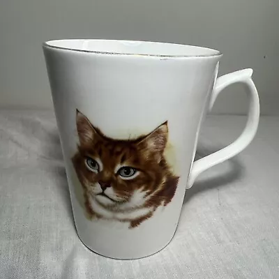 Buy Vintage Cup Mug Jason Works Nanrich Pottery Fine Bone China Cat 4” Tall • 11.99£