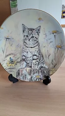 Buy Royal Worcester Crown Ware 1985 Hamilton KITTEN CLASSICS 8  Plate Collection New • 13£