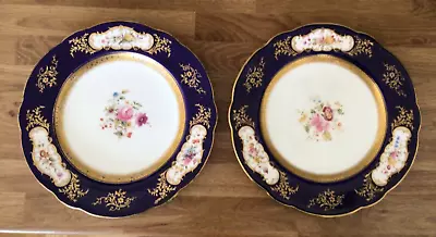 Buy Two Late 19th Early 20th Century Coalport China Cabinet Plates 6272 Hand Painted • 17.95£