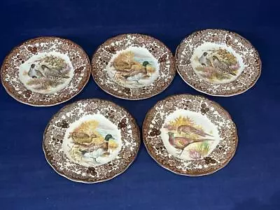 Buy Royal Worcester / Palissy Game Series 7  Side Plates X 5 • 15£