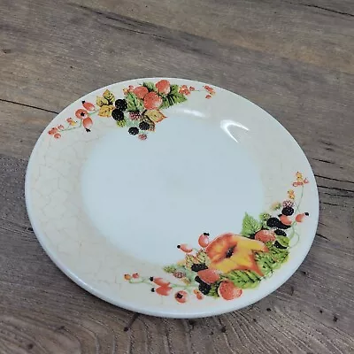 Buy Staffordshire Tableware Harvest Fruit Plate • 9.99£