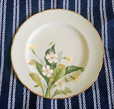 Buy ANTIQUE 19th CENTURY MINTON AESTHETIC MOVEMENT PORCELAIN BOTANICAL PLATE. • 30£