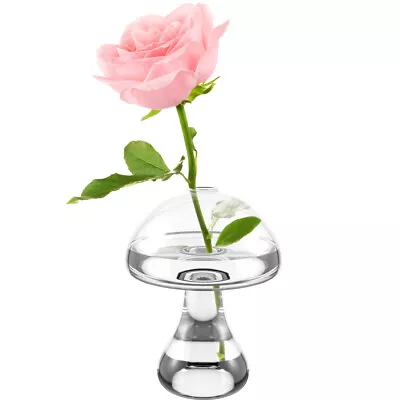Buy  Small Glass Vase Flower Embellishments Hydroponics Planting Pot • 9.18£