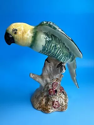 Buy Beswick Parakeet Model  930 • 30£