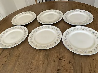 Buy Queens Claire Pattern Salad Plates 8” Diameter.  • 8.99£