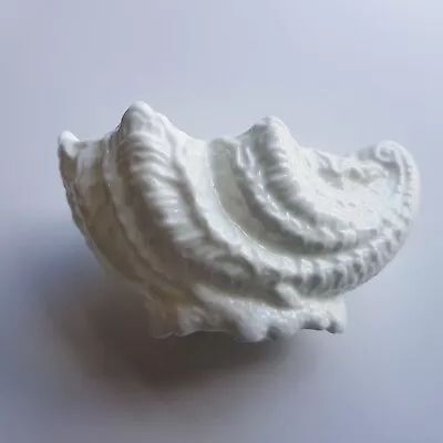 Buy Wedgwood White Nautilus Shell Dish Bowl Fine Ceramic Countryware 10cm England • 30£