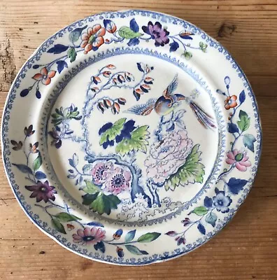 Buy Antique C. 1820 Davenport Stone China Dinner Plate Flying Bird Pattern 24cm D. • 9.99£