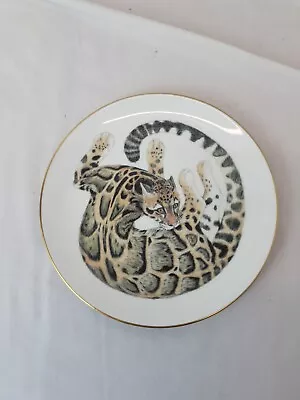 Buy Vintage Wedgewood Earthlife Collection, Clouded Leopard Rain Forest Series Plate • 9.99£