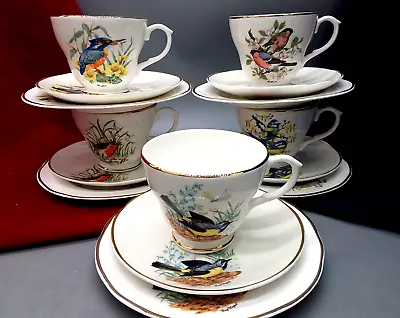 Buy Vintage English Bone China 5 Trios Cups Saucers Side Plate English Birds Pattern • 28£