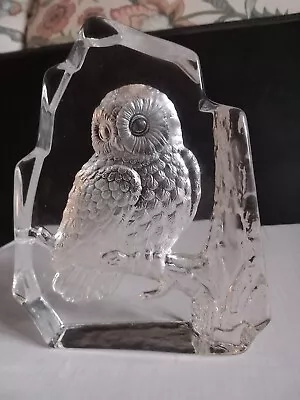 Buy A Clear And Patterned Owl On A Tree Branch Ornament • 6£