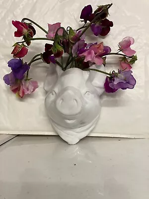 Buy Ceramic Pig Face Head Dish Towel Apron Hanger  Dry Flower Vase, Wall Mount White • 6.50£