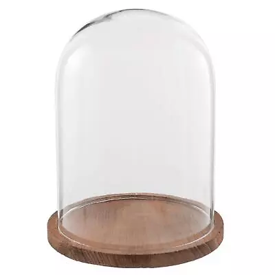 Buy Glass Display Cloche Bell Jar Dome Flower Preservation Cover Wooden Base 28 Cm  • 33.99£
