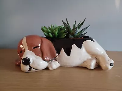 Buy Village Pottery DOG Ceramic Planter Plant Pot Gift Beagle Type Dog 25cm NEW  • 19.95£