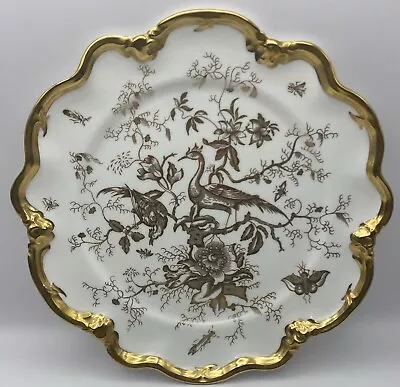 Buy Coalport Cairo Bone China Plate Exotic Bird 9” White & Gold Fancy Plate #1 • 19.99£