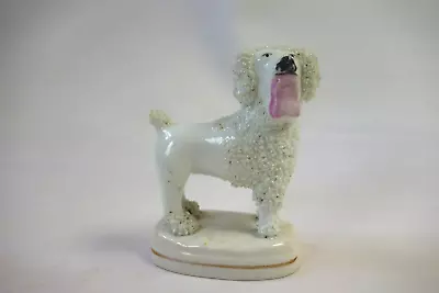 Buy Vintage Staffordshire Encrusted China Miniature Poodle Dog Figure • 12£