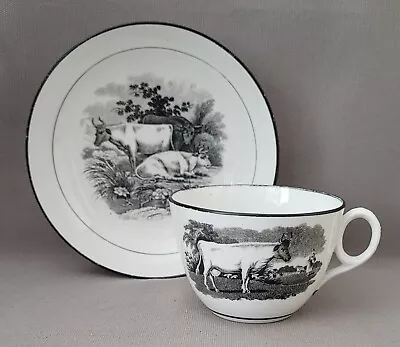 Buy New Hall Bat Printed Cows & Horses Cup & Saucer C1812-18 Pat Preller Collection • 10£