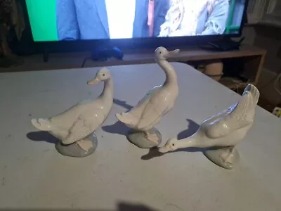 Buy Trio Of Nao By Lladro Geese Goose Ducks Figurines Lovely Condition Free Post • 24.99£