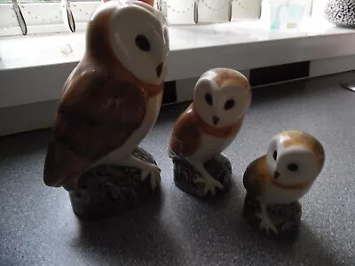 Buy RARE QUAIL Ceramics Barn Owl Trio. Perfect Condition. • 45£