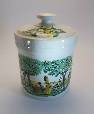 Buy 1982 Dorn Williams Cardigan Pottery National Trust Canister Jar Airtight Lid • 5£