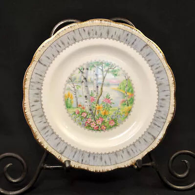 Buy Royal Albert Salad Plate 8 1/8  Silver Birch Grey Pink Green Blue W/Gold 1940's • 32.60£