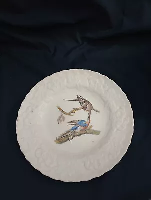 Buy Beautiful Vintage Alfred Meakin Bone China Plate In Excellent Condition  • 9.99£