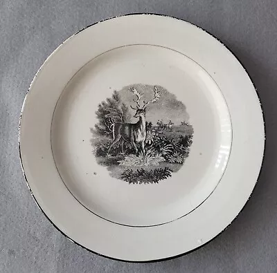 Buy Staffordshire Bat Printedstag Hunting Plate C1815-20 Pat Preller Collection • 10£