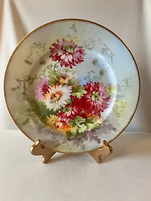 Buy Vintage  Limoges  Hand-Painted Porcelain Floral Plate • 14£