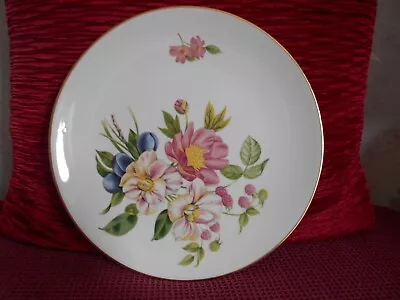 Buy ROYAL WORCESTER  Porcelain Oven To Tableware Dinner Plate Fruit Flowers • 3.99£