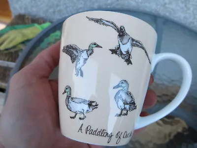 Buy Queens By Churchill The In Crowd A Paddling Of Ducks Cup Fine Bone China • 4.99£