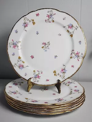 Buy 6 VIOLETS POMPADOUR Royal Stafford Bone China 10  Dinner Plates Made In England • 79.21£