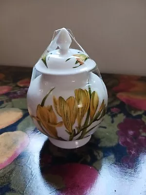 Buy  Aynsley Chelsea Flowers  Bone China England Lidded Floral Ginger Jar 5inches • 10£