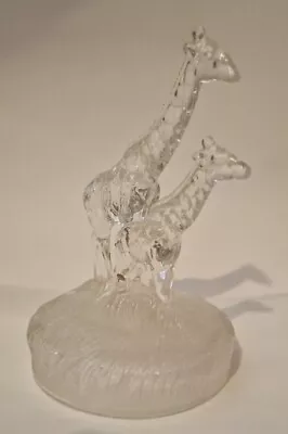 Buy Clear Crystal Glass Giraffe & Baby Figurine 'Height 6.5 , Base 5  X 4.5 ' • 19.99£