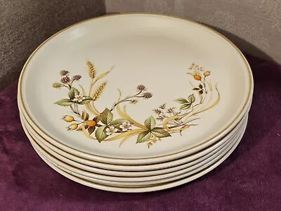 Buy 6x Vintage St Michael M&S Marks & Spencer 27cm 'Harvest' Dinner Plates • 19.99£